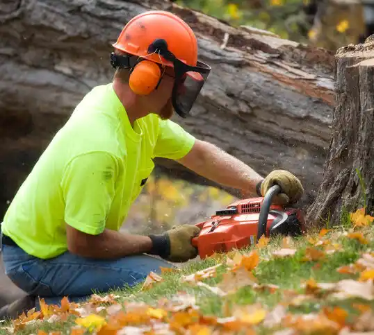 tree services Roswell